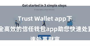 Trust Wallet app下载 安全高效的信任钱包app助您快速处置财富