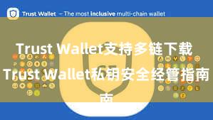 Trust Wallet支持多链下载 Trust Wallet私钥安全经管指南