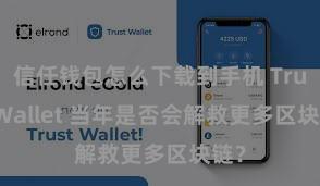 信任钱包怎么下载到手机 Trust Wallet 当年是否会解救更多区块链？