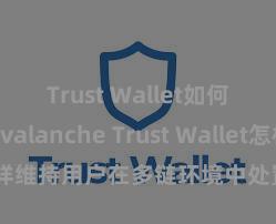 Trust Wallet如何使用Avalanche Trust Wallet怎样维持用户在多链环境中处置和兑换钞票？