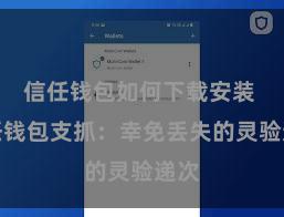 信任钱包如何下载安装 信任钱包支抓：幸免丢失的灵验递次